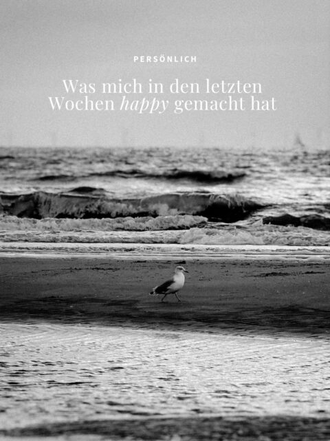 Was mich in den letzten Wochen happy gemacht hat ❤️

1. Habe auf der Fahrt in den Urlaub bemerkt, dass ich meine Kamera vergessen habe. Habe trotzdem eines meiner absoluten Lieblingsfotos ever gemacht – dieses hier. Mit dem iPhone.

2. Ich habe mich in diesem Jahr überhaupt nicht um die Tomaten gekümmert, seit ich sie ausgepflanzt habe – weder ausgegeizt, noch gedüngt. Konnte trotzdem immer mal wieder ein bisschen was ernten ❤️

3. Fünf Igel Babies im Garten meiner Eltern – tauchten zufällig dann auf, als ich gerade dort war ❤️

4. Meine Shopping Ausbeute aus Haarlem ❤️ Nicht im Bild: Die Yucca Palme, die ich im Recycling Kaufhaus gekauft habe. 

In welchen Läden wir shoppen waren, habe ich in einem anderen Post für euch aufgeschrieben. Findet ihr im Feed.

5. Meine Beste feierte fünf Jahre @chocolatevalley ❤️ Kann das manchmal noch nicht so richtig glauben, dass meine beste Freundin eine Chocolaterie hat…

(Ist jetzt Werbung, werd mit Liebe bezahlt!)

6. Bin ganz verliebt in meine neue Tasse ❤️

7. Beim Abendessen Sonnenuntergänge schauen am Meer ❤️

8. Klettern gehen mit meinen Lieben ❤️

9. Das erste gemeinsame Sonntagsfrühstück seit Mai mit meinen Eltern, Geschwistern, deren Partnern und meinen Patenkindern und danach den Tag zusammen im Garten verbringen ❤️

10. Malen ❤️ Alleine und mit den Kindern meiner Besten.

11. Fündig werden in Recycling Kaufhäusern und auf Flohmärkten ❤️

12. Den 60. Geburtstag meiner Eltern feiern mit all ihren Lieben ❤️

13. Ein neuer Couchtisch und das erste Frühstück bei Kerzenschein ❤️

14. Etwas Neues lernen: Makramee ❤️ Gebt Bescheid, wenn ich euch das Tutorial für die Blumenampel schicken soll.

15. Der allerletzte »Entspannt besser fotografieren« Workshop ❤️