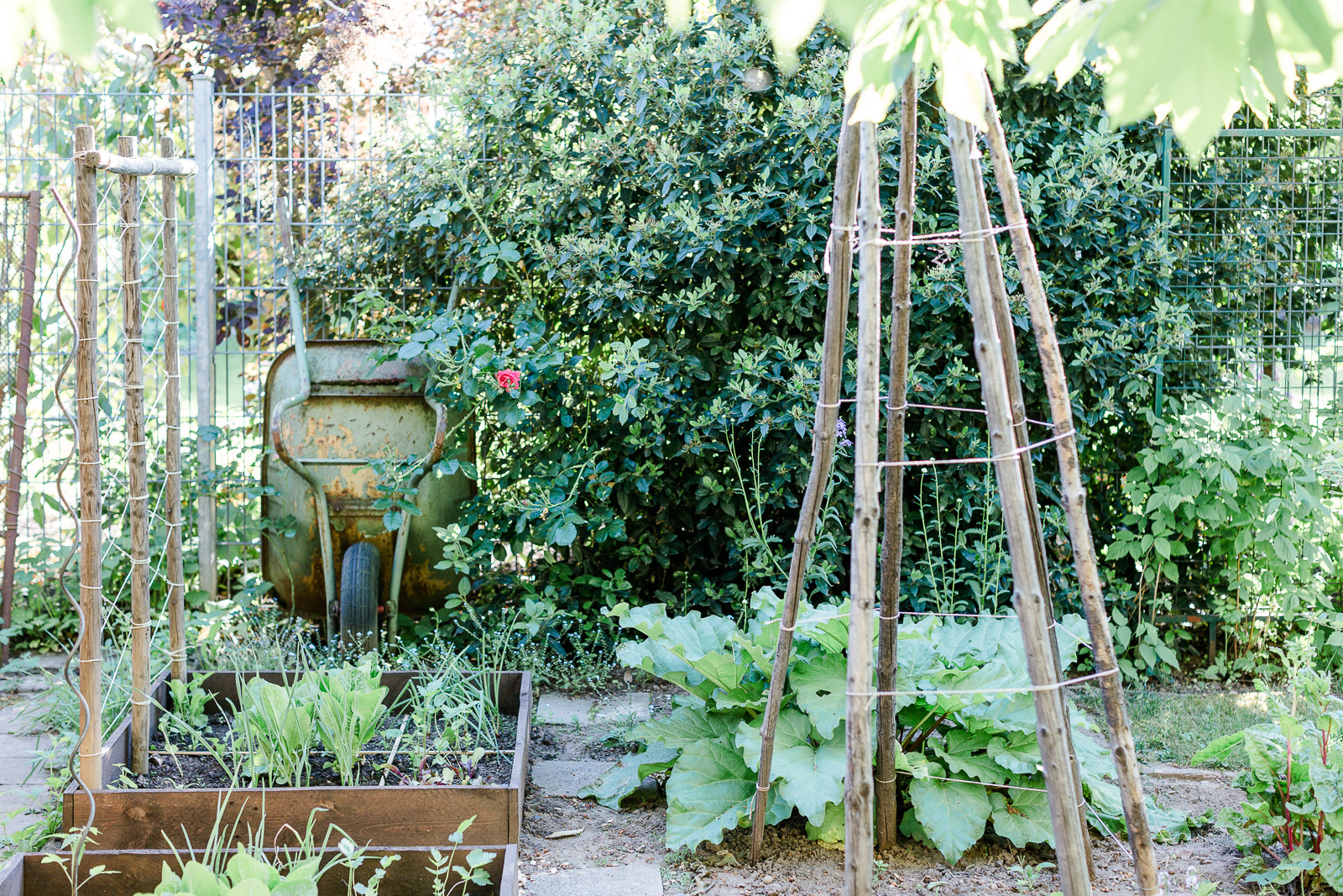 Ein Gemüsegarten auf einem Quadratmeter {Square Foot Gardening