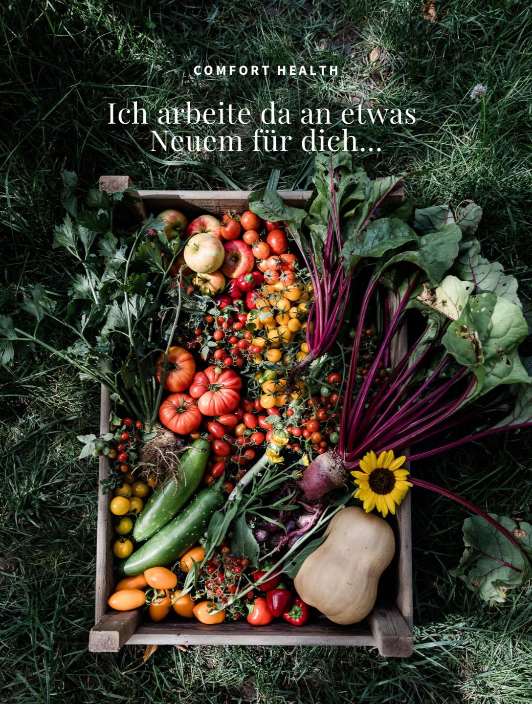 …und mich würde deine Meinung interessieren ❤️

Von Anfang an haben sich super viele von euch gewünscht, dass ich »comfort health« und meinen Weg in ein gesünderes Leben nicht nur online als ebook vertreibe, sondern als gedrucktes Buch. 

Nach wie vor ist das allerdings nicht das, was ICH möchte. Einfach, weil man als Autorin an einem gedruckten Buch wirklich sehr wenig verdient und ich auch weiterhin in der Lage sein möchte, meinen Lebensunterhalt mit meinen eigenen Projekten und nur sehr wenigen und sorgfältig kuratierten Werbepartnern zu verdienen. 

Nun arbeite ich schon seit einer Weile an einer Neuauflage meines ebooks, um alles, was ich seit der Veröffentlichung in 2024 gelernt habe, zu ergänzen. Alle, die das ebook gekauft haben oder in den nächsten Wochen noch kaufen, bekommen dieses Update dann digital kostenlos zugeschickt.

Nun hatte ich vor einer Weile folgende Idee: Ich würde »comfort health« gerne in ein Magazin umwandeln, von dem es dann immer mal wieder neue Ausgaben mit aktuellen Themen und saisonalen Rezepten geben kann. Ich möchte noch nicht zu viel sagen, aber ich habe wirklich viele Ideen, die ich seit Monaten sammle. 

Prinzipiell würde ich dieses Magazin wieder in Online-Form vertreiben wollen, aber ich könnte mir vorstellen, jeweils auch eine kleine, limitierte Auflage drucken zu lassen und dann zu verschicken. 

Und jetzt bin ich gespannt, was du dazu sagst?! Hättest du Interesse an einem Magazin, das dich immer mal wieder entspannt zurück zu dir und den Gewohnheiten, die dir gut tun, holt? Kein Druck, kein Stress, keine Verbote, kein alles oder nichts – einfach nur comfort health style zum Anfassen? ❤️